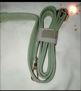 Mint Green Handbag