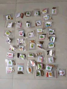 Vegetable Seeds