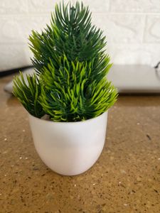 3 Artificial Plants