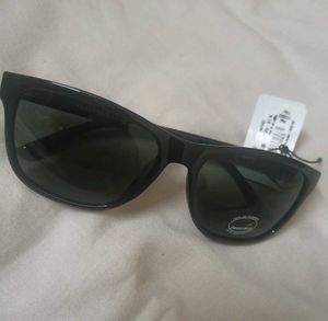 Fastrack Sunglasses