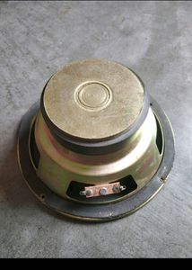 Bass Speaker