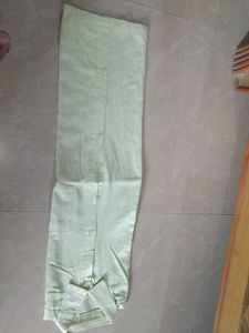 Pale Green Button-Down Shirt