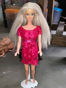 Indian Barbie doll
