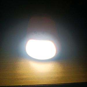 Cute Chick Night Light