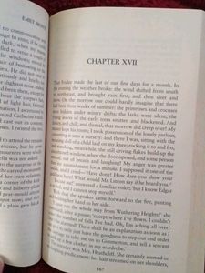 wuthering heights by Emily bronte
