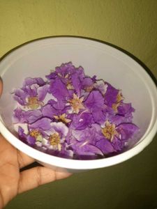 Dried FLOWER FOR RESIN ART