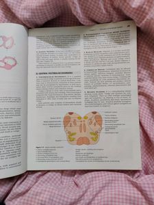 ENT book By Dr Dhingra