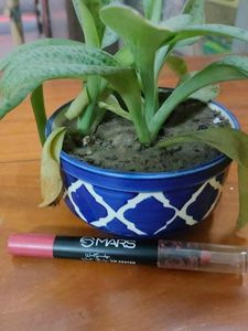MARS Lip Crayon
