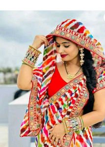 Colorful Striped Saree