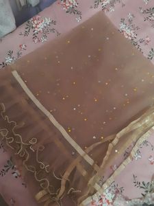 Organza And Net Dupatta