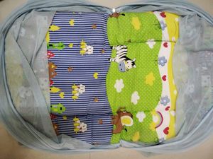 Baby Bed With Mosquito Net