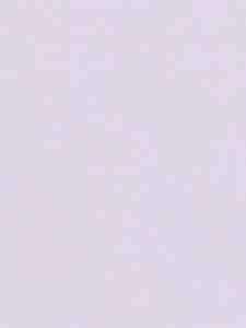 A Man Called Ove | Fiction