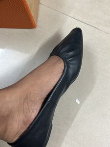 Black Bellies No Defect