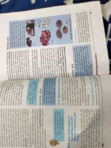 Class 8th NCERT Books