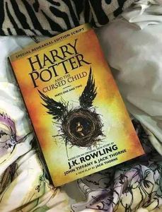 Harry Potter And The Cursed Child Friction Book