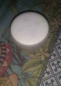 Echo Dot (White)