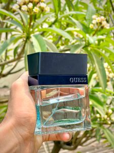 Guess Brand New Perfume