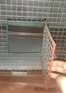 New Bird Cage