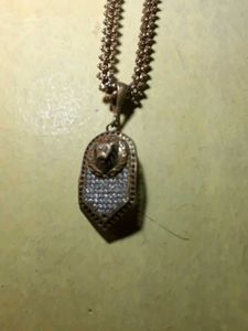 Chain And Tiger Locket