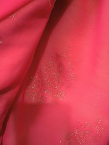Coral Embroidered Saree