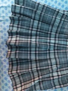 A Party Wear Skirt