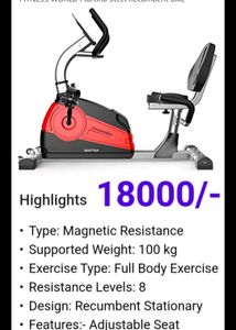Martina Recumbent Bike
