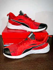 Puma Softfoam Plus
