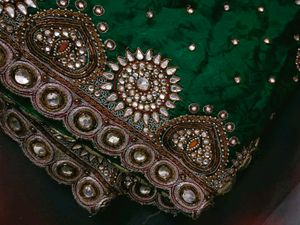 Green Embellished Saree