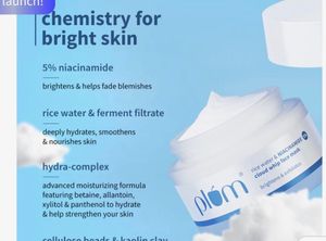 Plum Rice Water Face Mask