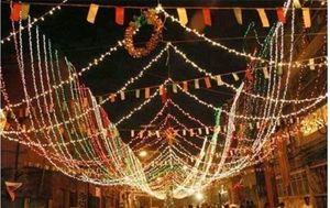 10Mtr Diwali Rice Lights For Decoration11