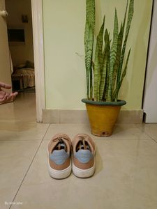 Rare Rabbit Shoes Peach -UK9