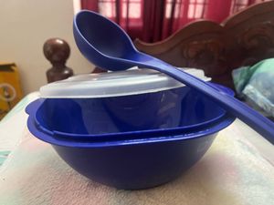 Microwaveable Blue Container