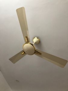 Ceiling Fan