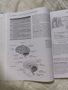 Abnormal Psychology Book For College Student