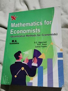 Mathematics for Economists Book