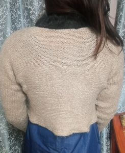Fashionable Crop Sweater