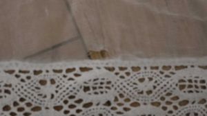 White Chikankari Suit (Kurti, Pant, Dupatta)