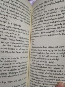 The Crash by Freida McFadden