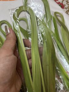 Oliv Green Quilling