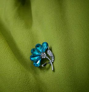 Vintage Brooch Saree