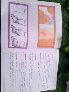 Nios 12thClass Housekeeping Practical File