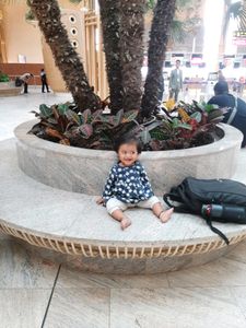 Combo Of 5 Leggings And 1 Blue Color Frock