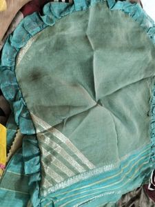 Saree Cover 8 Pics