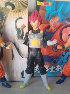 Vegeta in his Super Saiyan God form