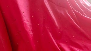 Rani Pink Saree With Golden Stones