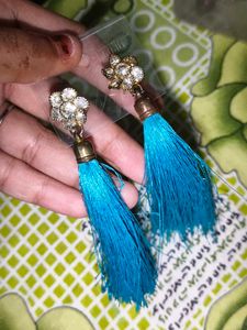 Blue Long Earrings