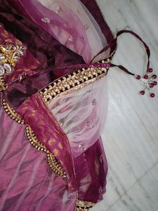 Heavy Work Lehanga Cum Saree With Stitched Blous