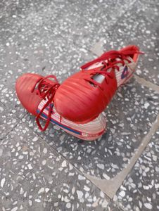 Red Sports Shoes