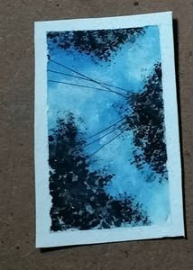 5 Polaroid Sketch