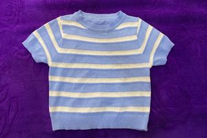 Blue Stripped Crop Top